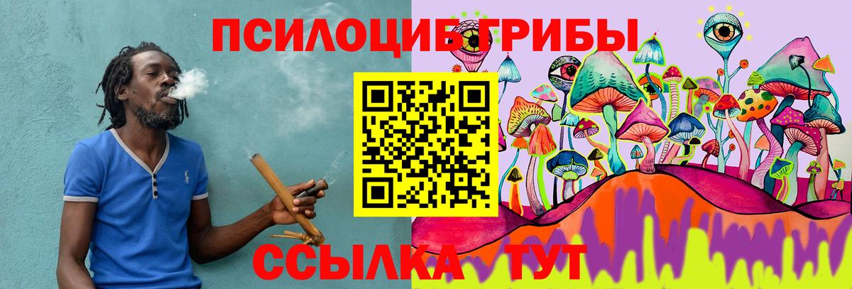 Ишимбай  Псилоцибиновые грибы MAGIC MUSHROOMS  Вход с VPN 