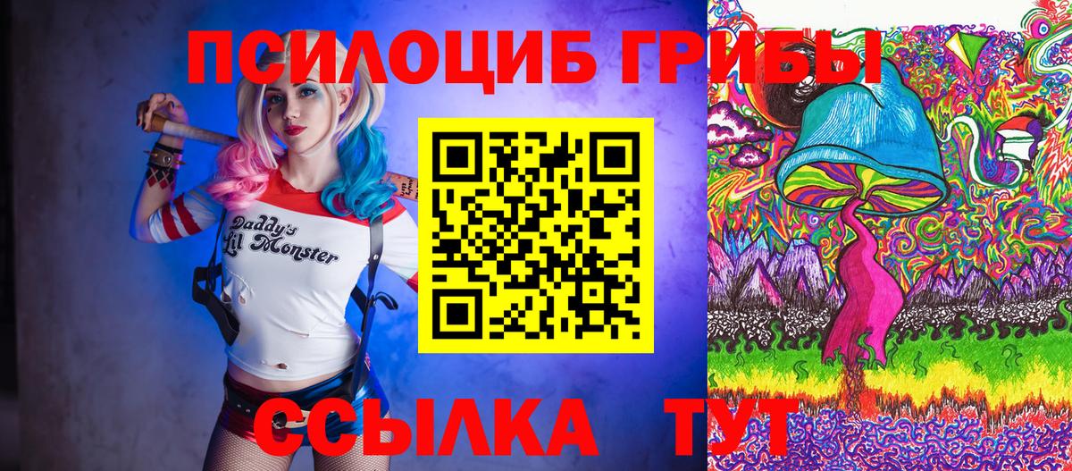 Псилоцибиновые грибы Psilocybe Ишимбай